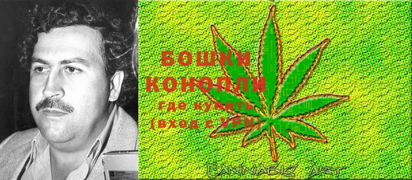 ECSTASY Семёнов