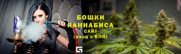 шишки Аркадак