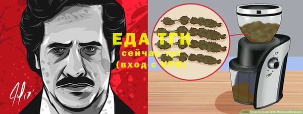 молекула духа Семилуки