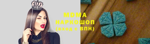 шишки Аркадак
