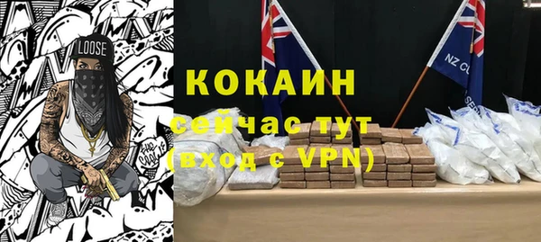 шишки Аркадак