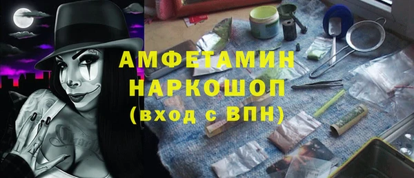 шишки Аркадак